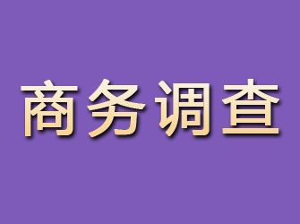 临泉商务调查